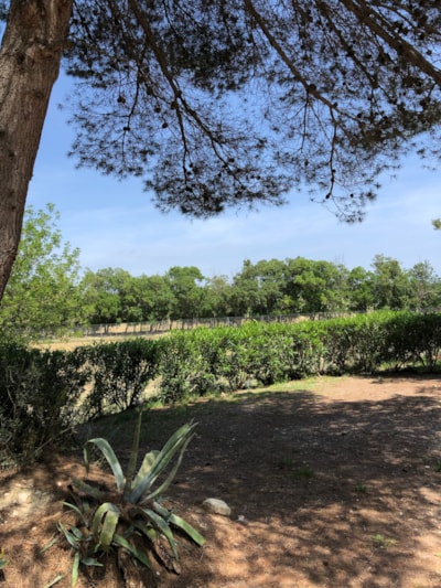 Camping La Grange Neuve - Face à La Réserve Africaine de Sigean