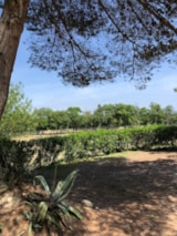 Foto #9 van Camping La Grange Neuve