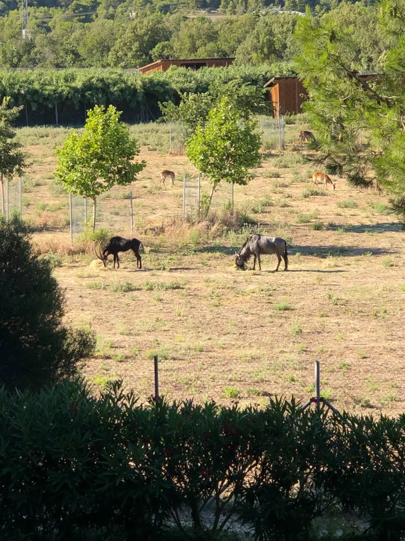 Roulotte Insolite - Vue Réserve - Prestations Hôtelières Incluses