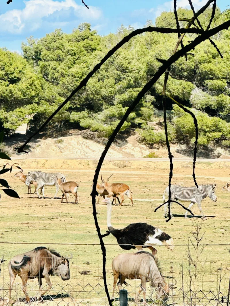 Lodge Pilotis Privilege - Vue Réserve Africaine