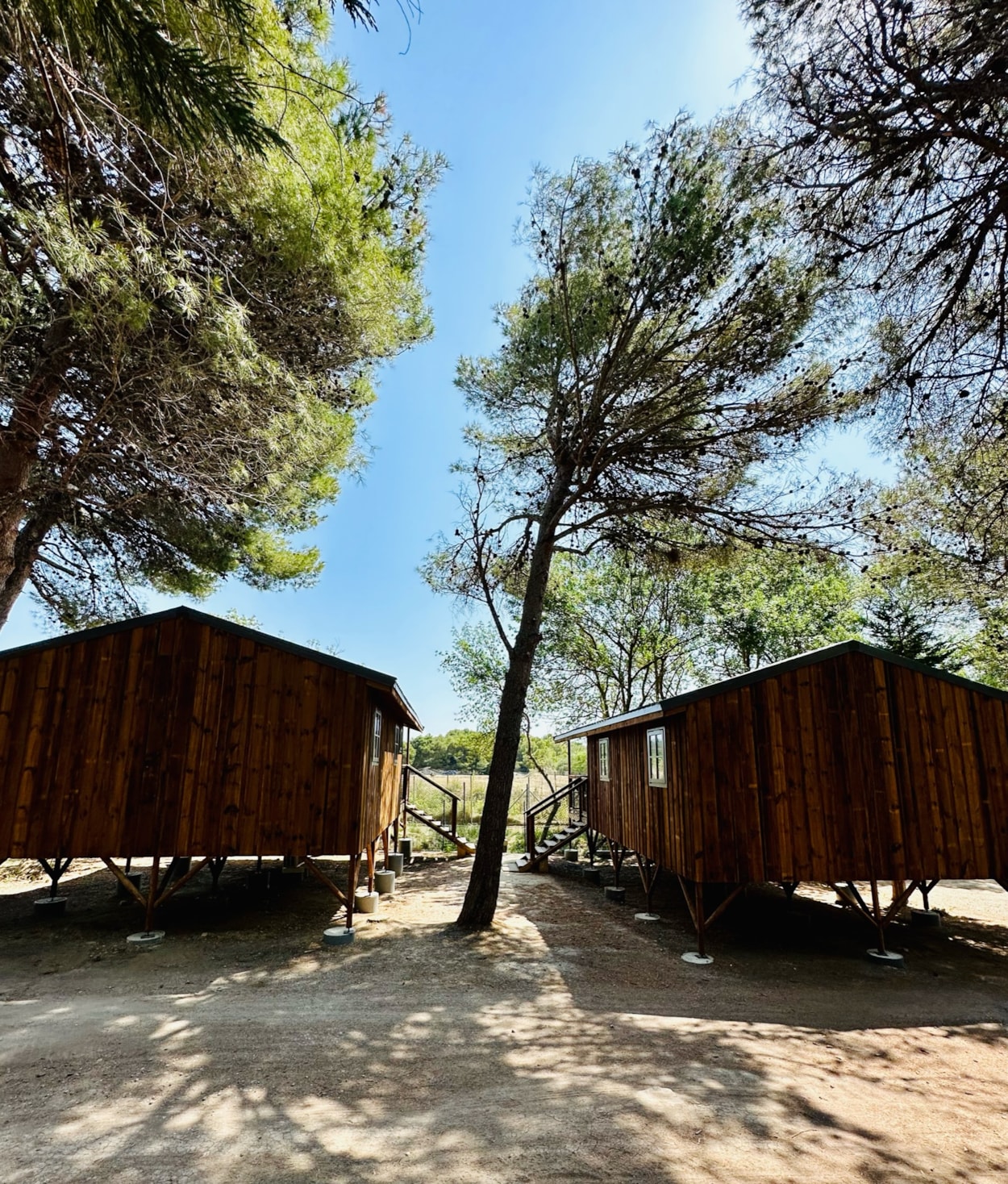 Camping La Grange Neuve - Face à La Réserve Africaine de Sigean