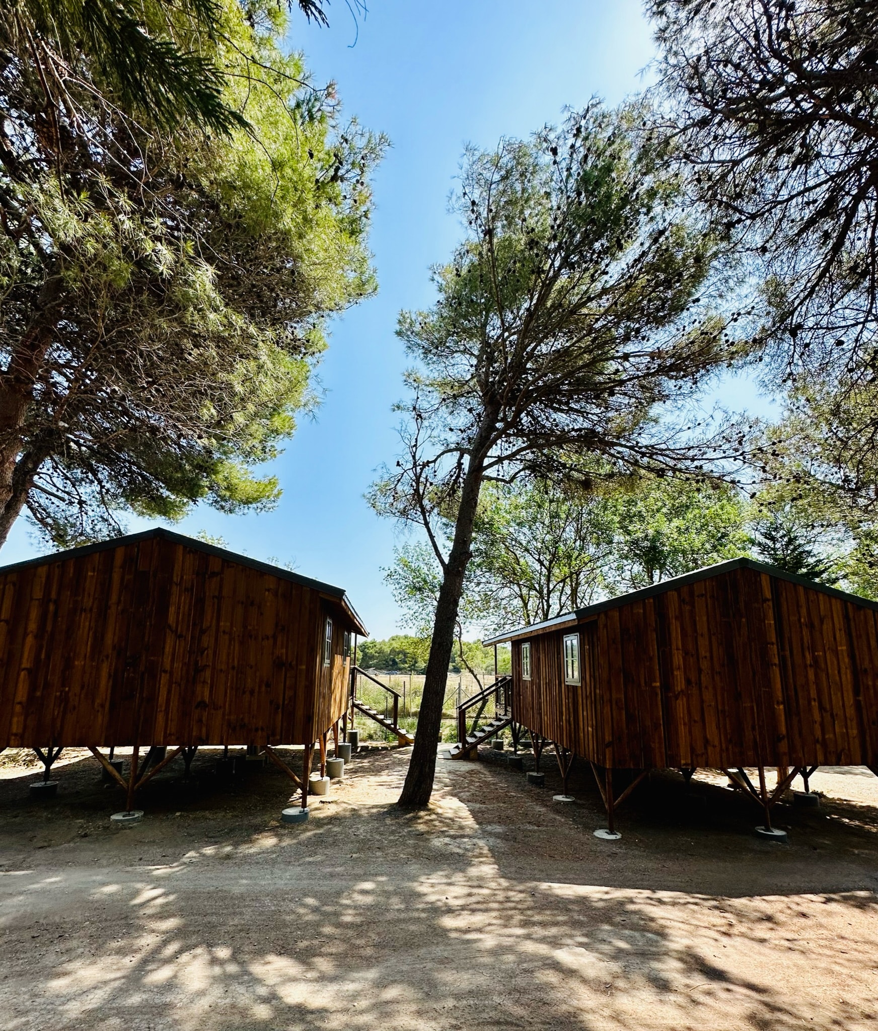 Camping La Grange Neuve - Face à La Réserve Africaine de Sigean — Photo 2