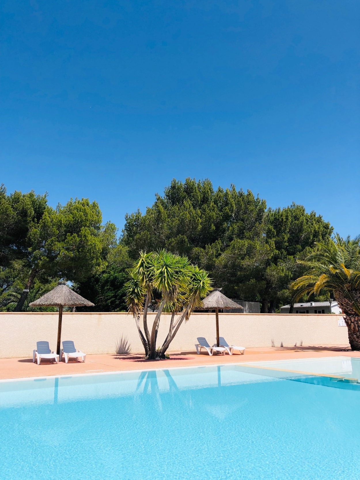 Camping La Grange Neuve - Face à La Réserve Africaine de Sigean