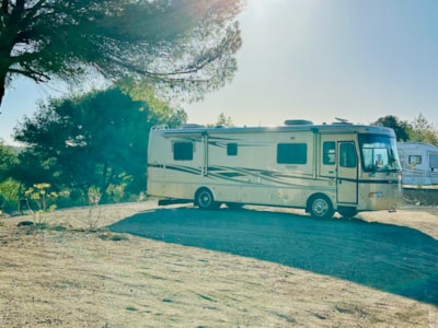 CAMPING SPACE XL (14m x 7m) + ELECTRICITY (10A)