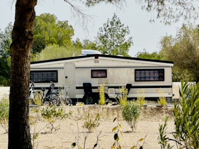 CAMPING SPACE XL (14m x 7m) + ELECTRICITY (10A)