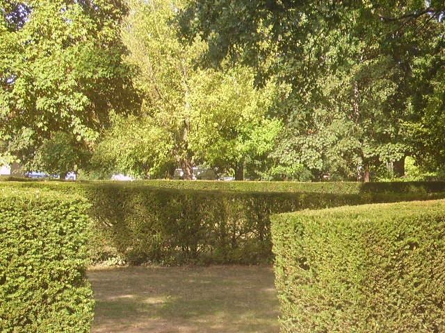 Camping Les Vignes photo 3