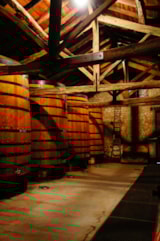 Foto #33 van Village Camping LES VIGNES