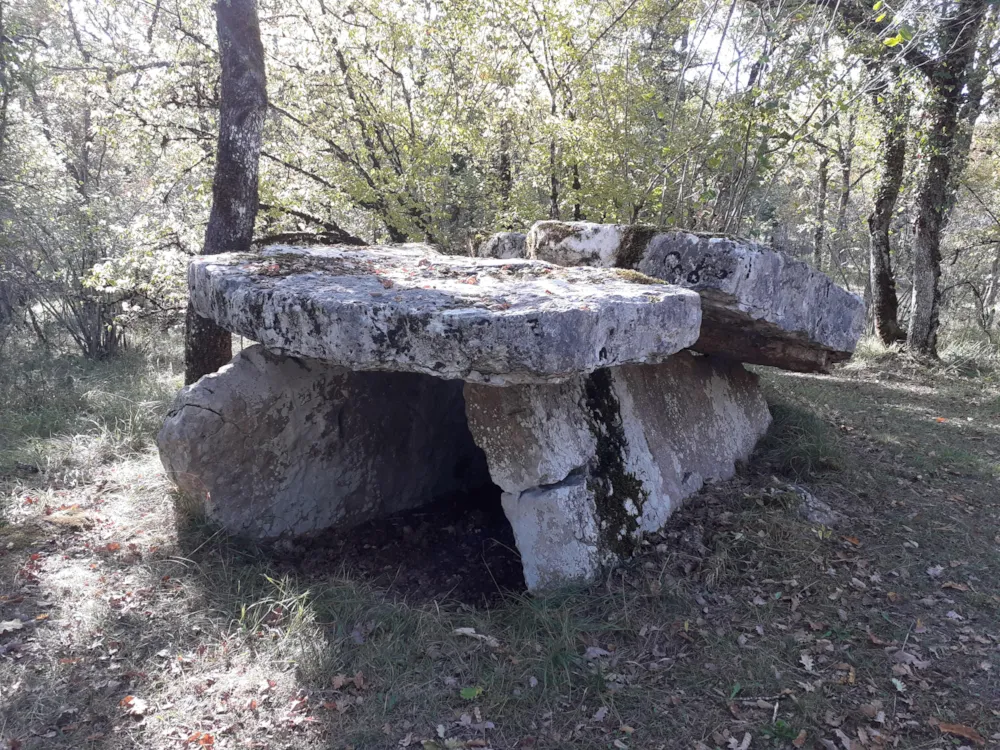 Domaine Papillon - image n°22 - UniversalBooking