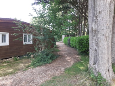 Chalet Etoilé 36 m², 2 BR, 1 BTH with TV
