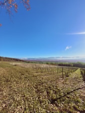 Camping L'Ile Chambod