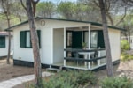Mobil Home Mobil Home