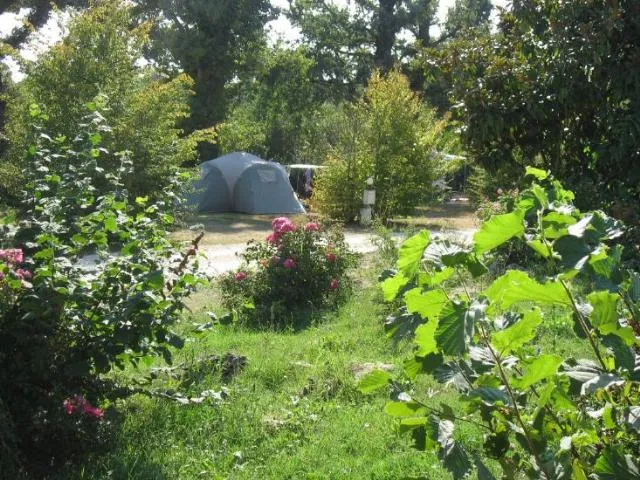 Standplaats + 1 auto + tent, caravan of camper.