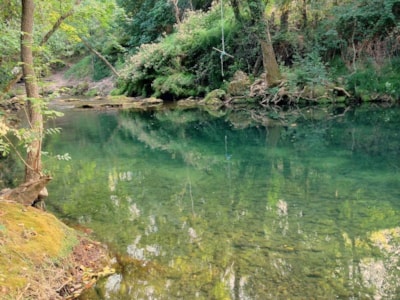 Camping des Sources