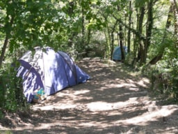 Kampeerplaats(en) - Fietstoerpakket. Met Elek. - Tent En Fiets - Camping des Sources