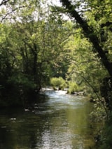 Foto #11 van Camping des Sources