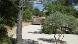 Camping le Cézanne Montagne Sainte-Victoire - image n°6 - 