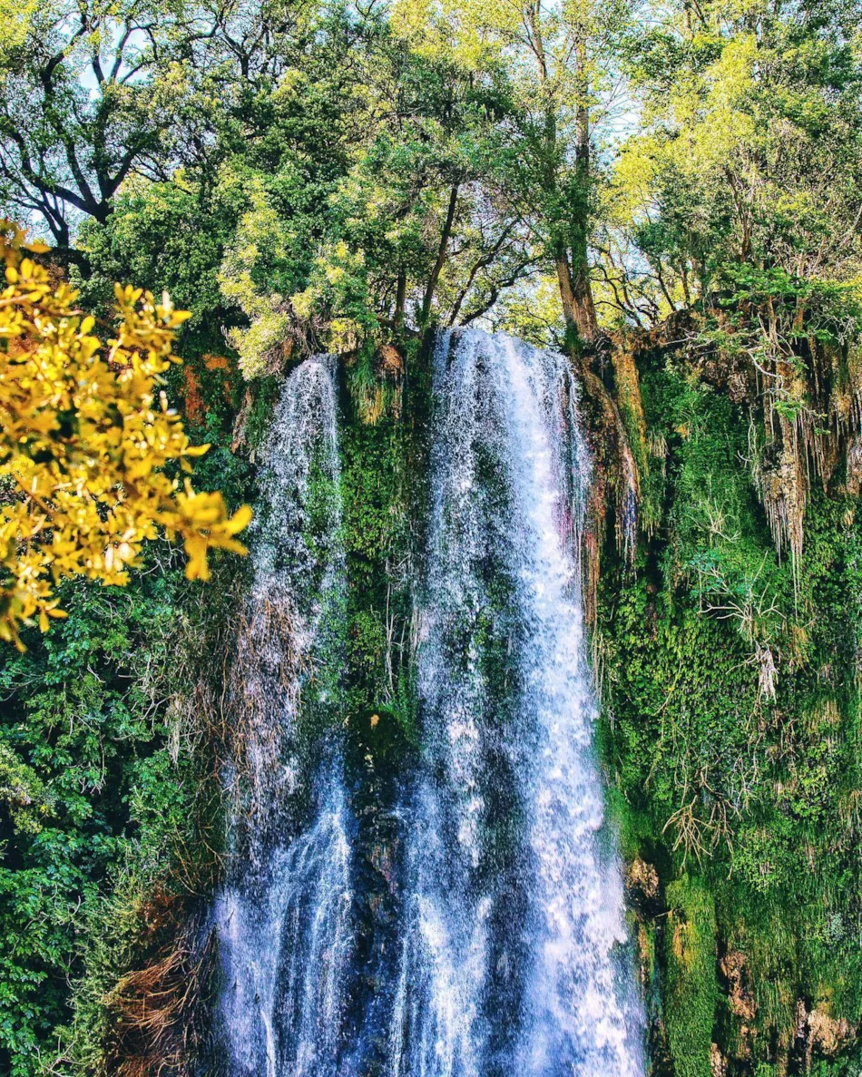 Camping le Cézanne Montagne Sainte-Victoire