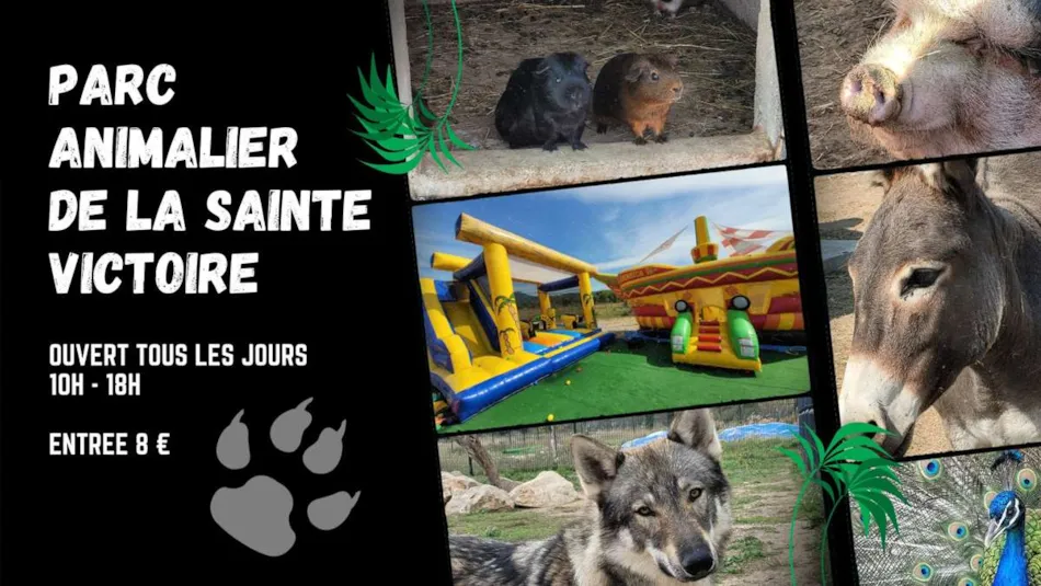 Camping le Cézanne Montagne Sainte-Victoire