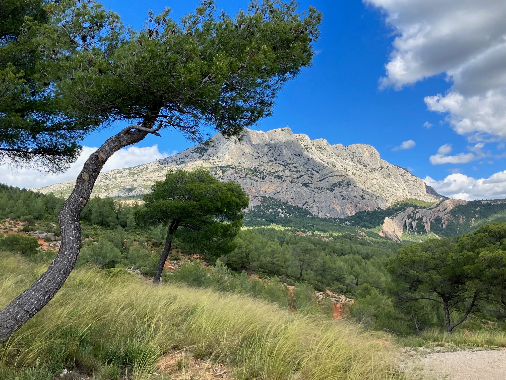 Camping le Cézanne Montagne Sainte-Victoire — Photo 8