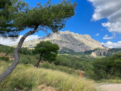 Camping le Cézanne Montagne Sainte-Victoire